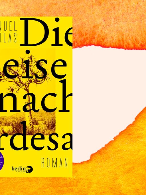 Cover des Buchs "Die Reise nach Ordesa" von Manuel Vilas auf einem orangefarbenen Aquarellhintergrund