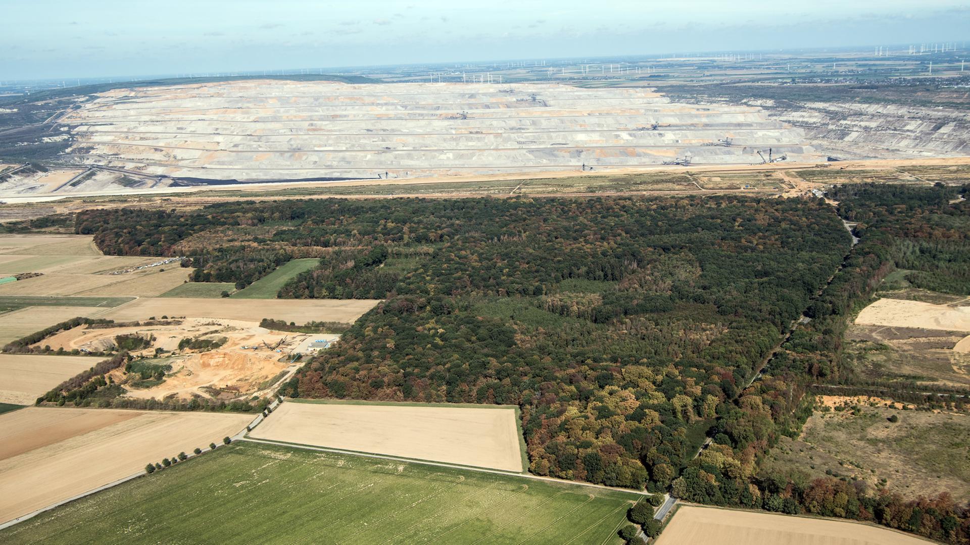 Der Tagebau Hambach schiebt sich an den Hambacher Forst. Der Hambacher Forst zwischen Köln und Aachen gilt als Symbol des Widerstands gegen die Kohle. RWE will für den Braunkohleabbau mehr als 100 der verbliebenen 200 Hektar Wald abholzen. Der Tagebau Hambach schiebt sich an den Hambacher Forst. Der Hambacher Forst zwischen Köln und Aachen gilt als Symbol des Widerstands gegen die Kohle. RWE will für den Braunkohleabbau mehr als 100 der verbliebenen 200 Hektar Wald abholzen.