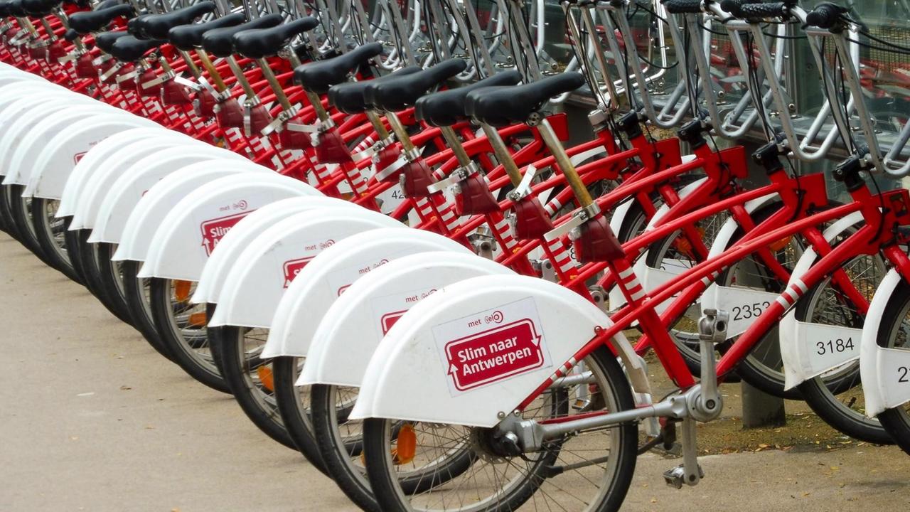 Eine lange Reihe von Leihfahrrädern Eine lange Reihe von Leihfahrrädern