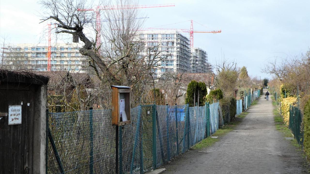 Ein Blick auf die Kleingartenkolonie Oeynhausen: vorne sind Gärten, im Hintergrund sind Neubauten zu sehen. Ein Blick auf die Kleingartenkolonie Oeynhausen: vorne sind Gärten, im Hintergrund sind Neubauten zu sehen.
