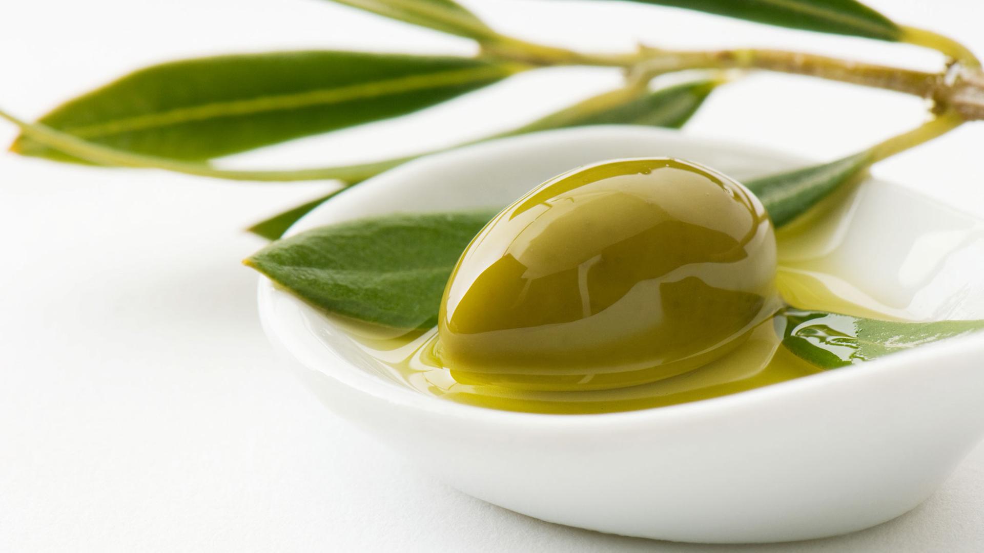 Ein weißes Schälchen mit einer grünen Olive und Olivenöl steht auf einem Tisch.