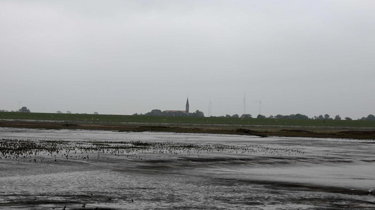 Die Kirche von Langwarden im Hintergrund. Vorne Watt Die Kirche von Langwarden im Hintergrund. Vorne Watt