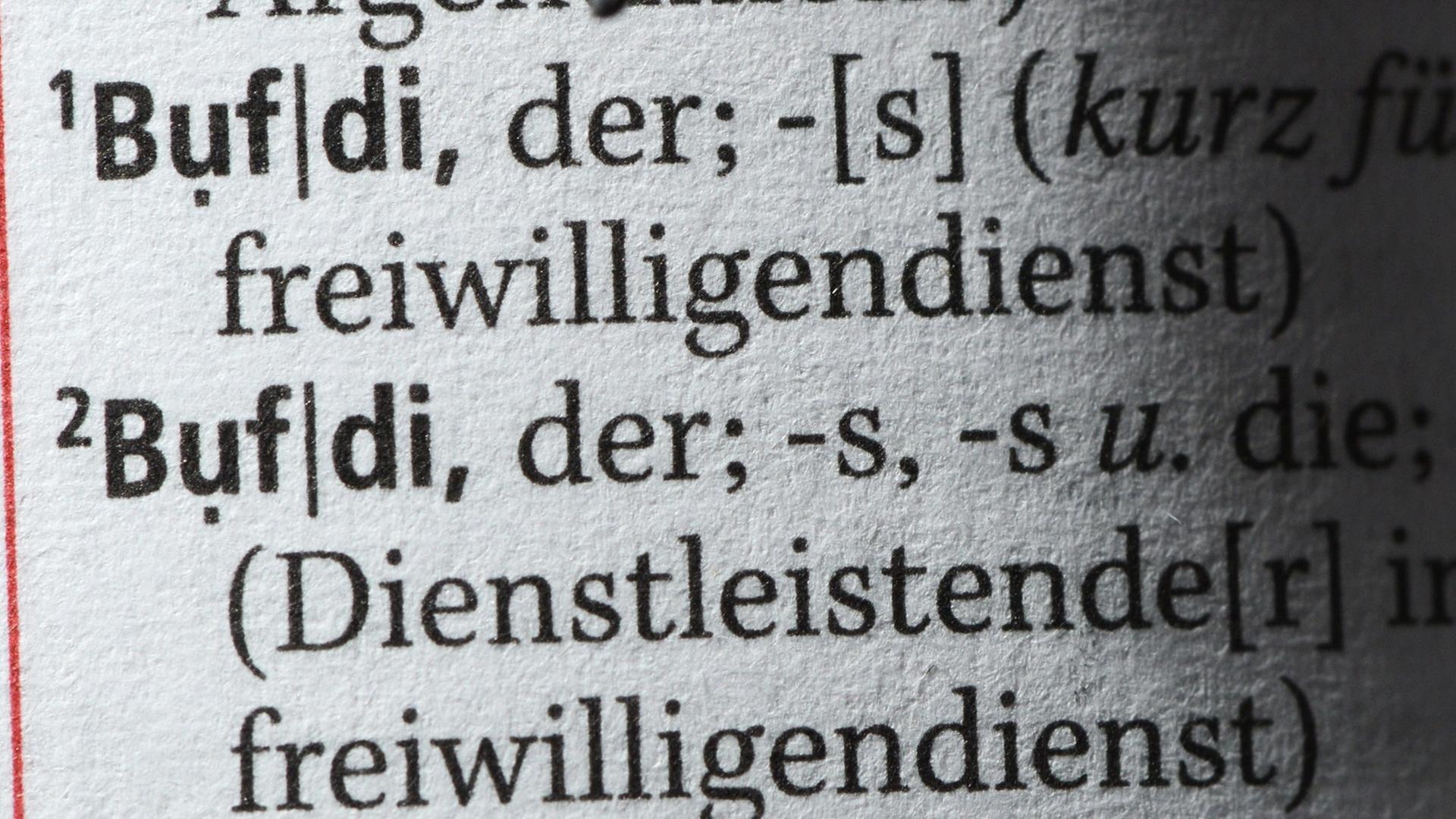 Der Begriff Bufdi ist am 29.06.2013 im neuen Duden des Jahres 2013 zu sehen. Das Wort gehört zu den Neuaufnahmen in der 26. Auflage des Wörterbuches der deutschen Sprache.