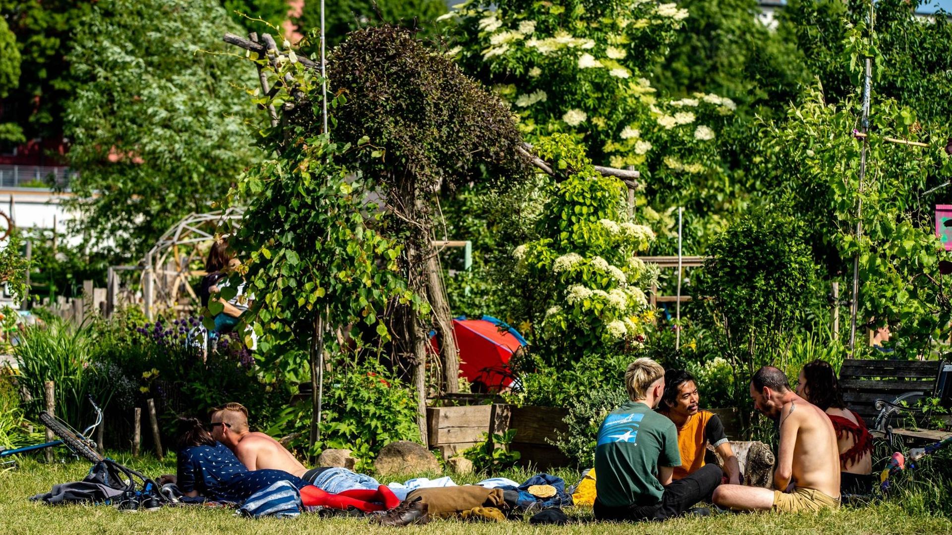 Ein Garten mitten in der Stadt auf dem Tempelhofer Feld in Berlin. Ein Garten mitten in der Stadt auf dem Tempelhofer Feld in Berlin.