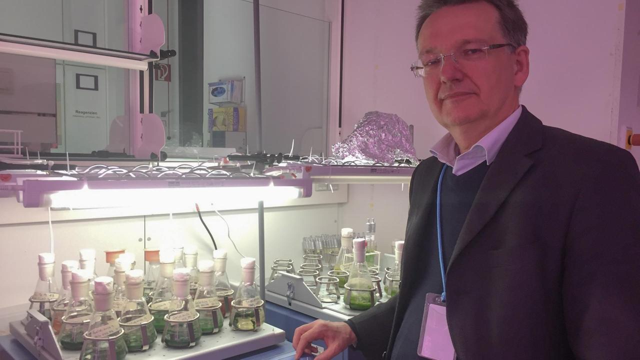 Der Professor für molekulare Zellbiologie, Jan-Heiner Küpper, schaut in einem Labor stehend in die Kamera.