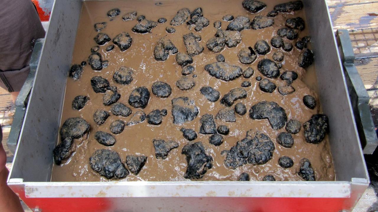 Aufnahme eines 50 x 50 Zentimeter großen und rund 40 Zentimeter tiefen Stückes des Meeresbodens mit Manganknollen, im sogenannten Kastengreifer aus Metall.