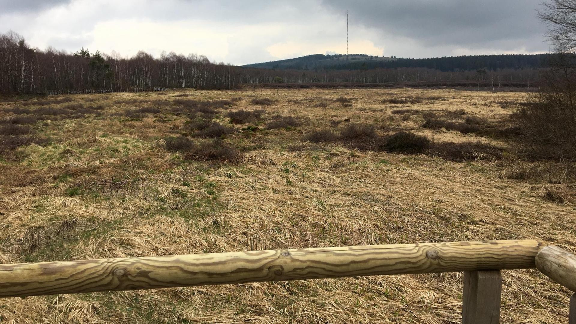 Offenland im "Roten Moor" in der hessischen Rhön. Offenland im "Roten Moor" in der hessischen Rhön.