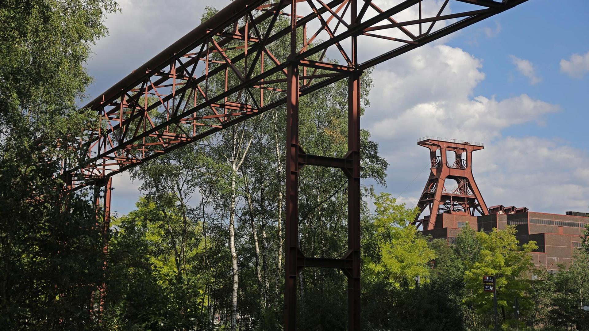 Bäume wachsen auf dem Gelände der Zeche Zollverein, im Hintergrund ist der Förderturm zu sehen. Bäume wachsen auf dem Gelände der Zeche Zollverein, im Hintergrund ist der Förderturm zu sehen.
