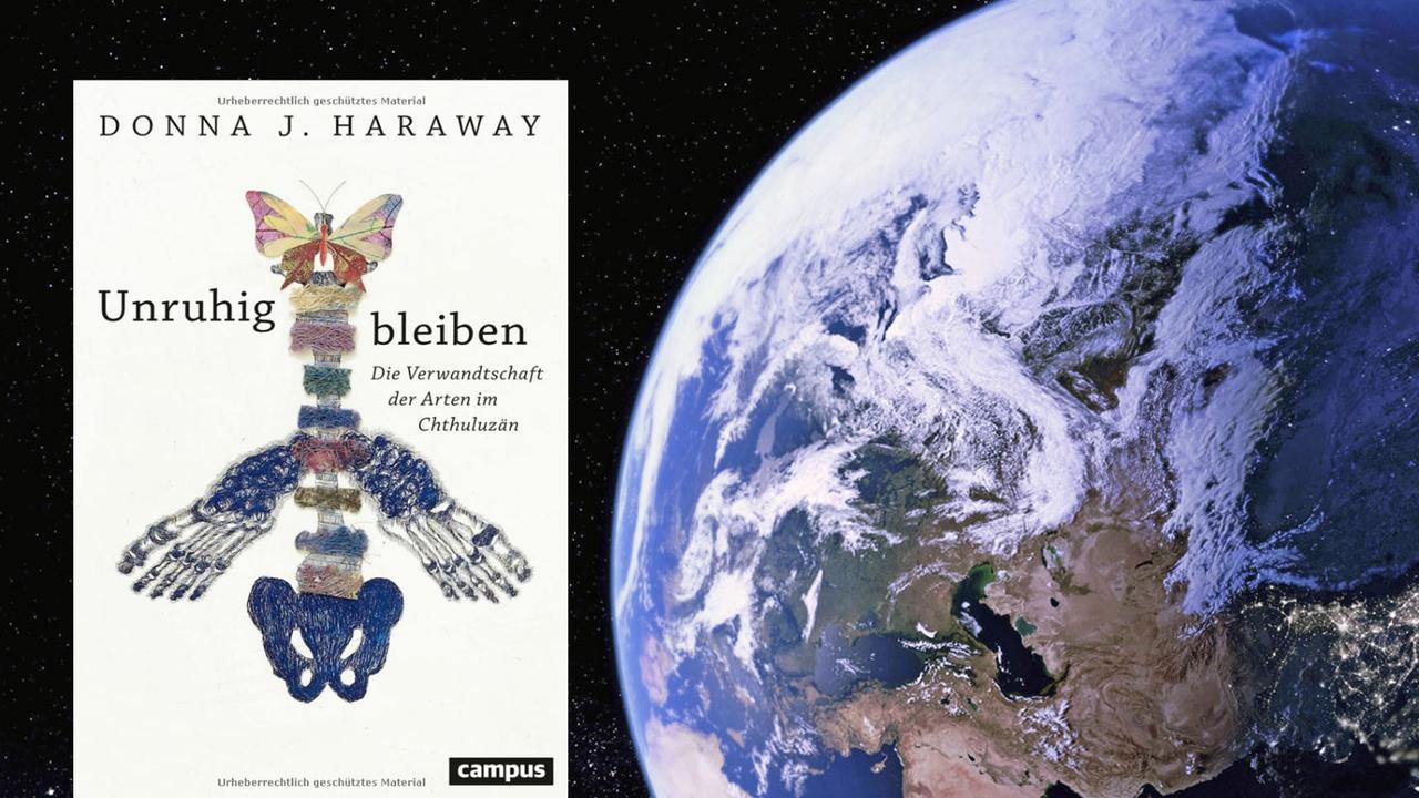 Buchcover Donna J. Haraway: Unruhig bleiben Buchcover Donna J. Haraway: Unruhig bleiben