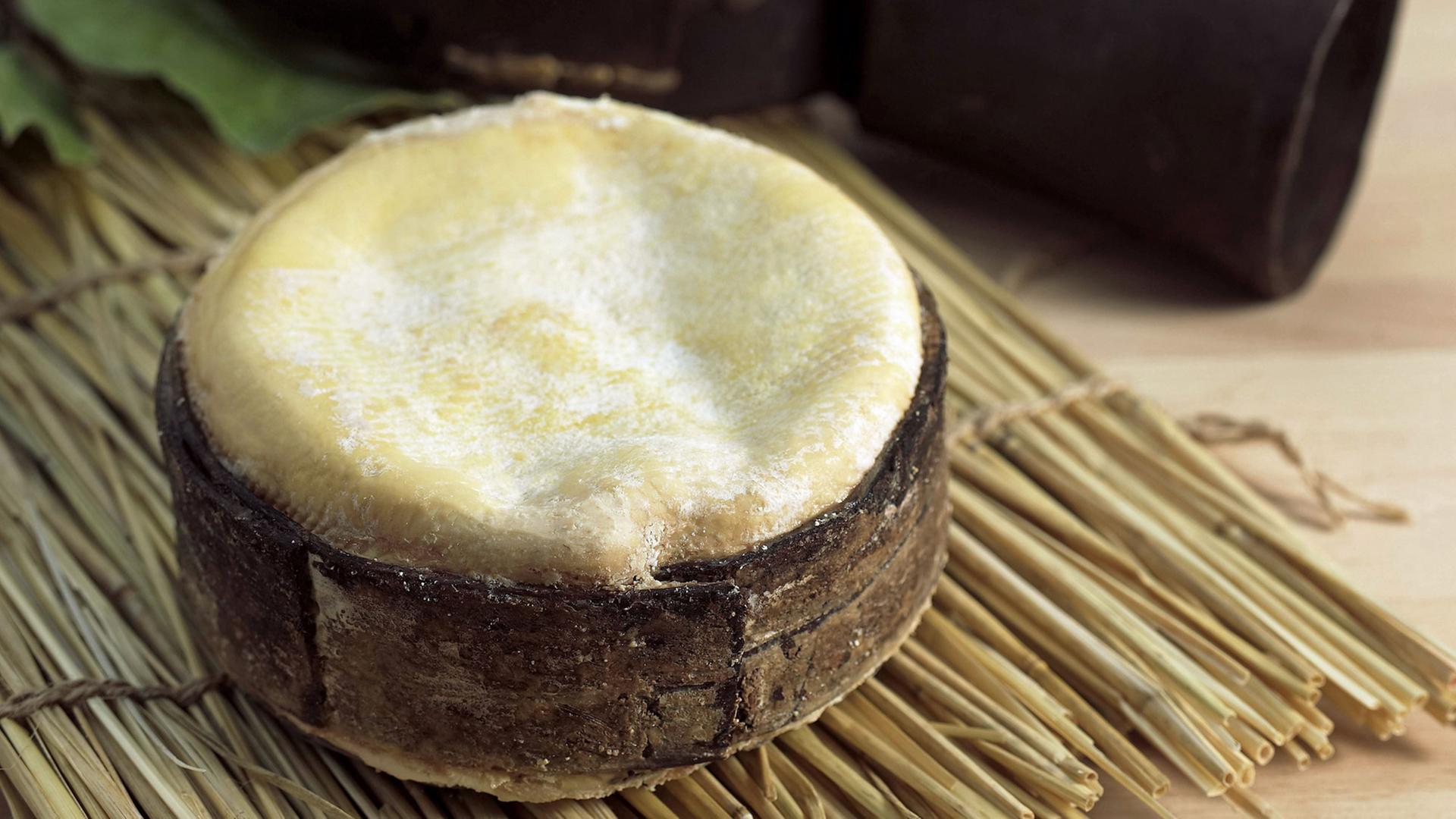 Mont d'Or-Köse ist ein Weichkäse, der im Französischen und Schweizer Jura hergestellt wird. Seine Besonderheit ist, dass er mit einem Ring aus Fichtenholz angeboten wird. Mont d'Or-Köse ist ein Weichkäse, der im Französischen und Schweizer Jura hergestellt wird. Seine Besonderheit ist, dass er mit einem Ring aus Fichtenholz angeboten wird.