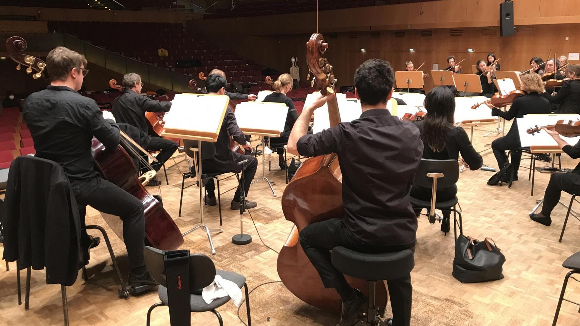 In schwarz gekleidete Streicher spielen vor leeren Rängen einer Konzerthalle. Im Vordergrund sind zwei männliche Bassisten von hinten zu sehen. In schwarz gekleidete Streicher spielen vor leeren Rängen einer Konzerthalle. Im Vordergrund sind zwei männliche Bassisten von hinten zu sehen.