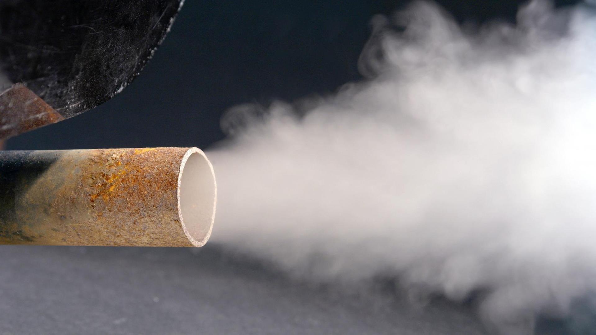 Autoabgase enthalten luftverunreinigende Stoffe wie Kohlenstoffmonoxid und Kohlenstoffdioxid, Schwefeloxide, Stickoxide sowie Staub und Ruß Autoabgase enthalten luftverunreinigende Stoffe wie Kohlenstoffmonoxid und Kohlenstoffdioxid, Schwefeloxide, Stickoxide sowie Staub und Ruß