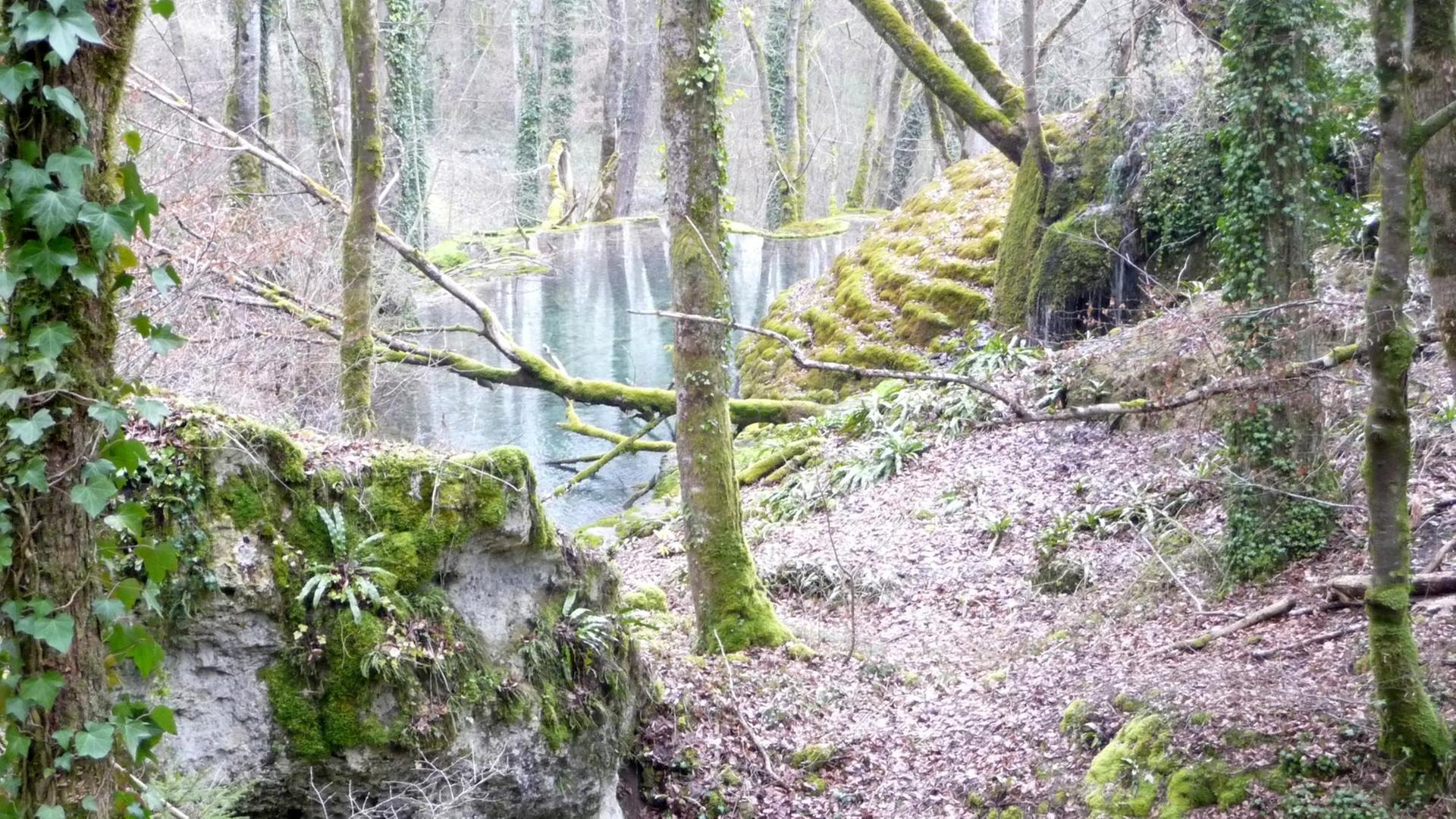 Die Tufflager von Rolampont in der Nähe von Langres, Haute-Marne in Frankreich. Die Tufflager von Rolampont in der Nähe von Langres, Haute-Marne in Frankreich.