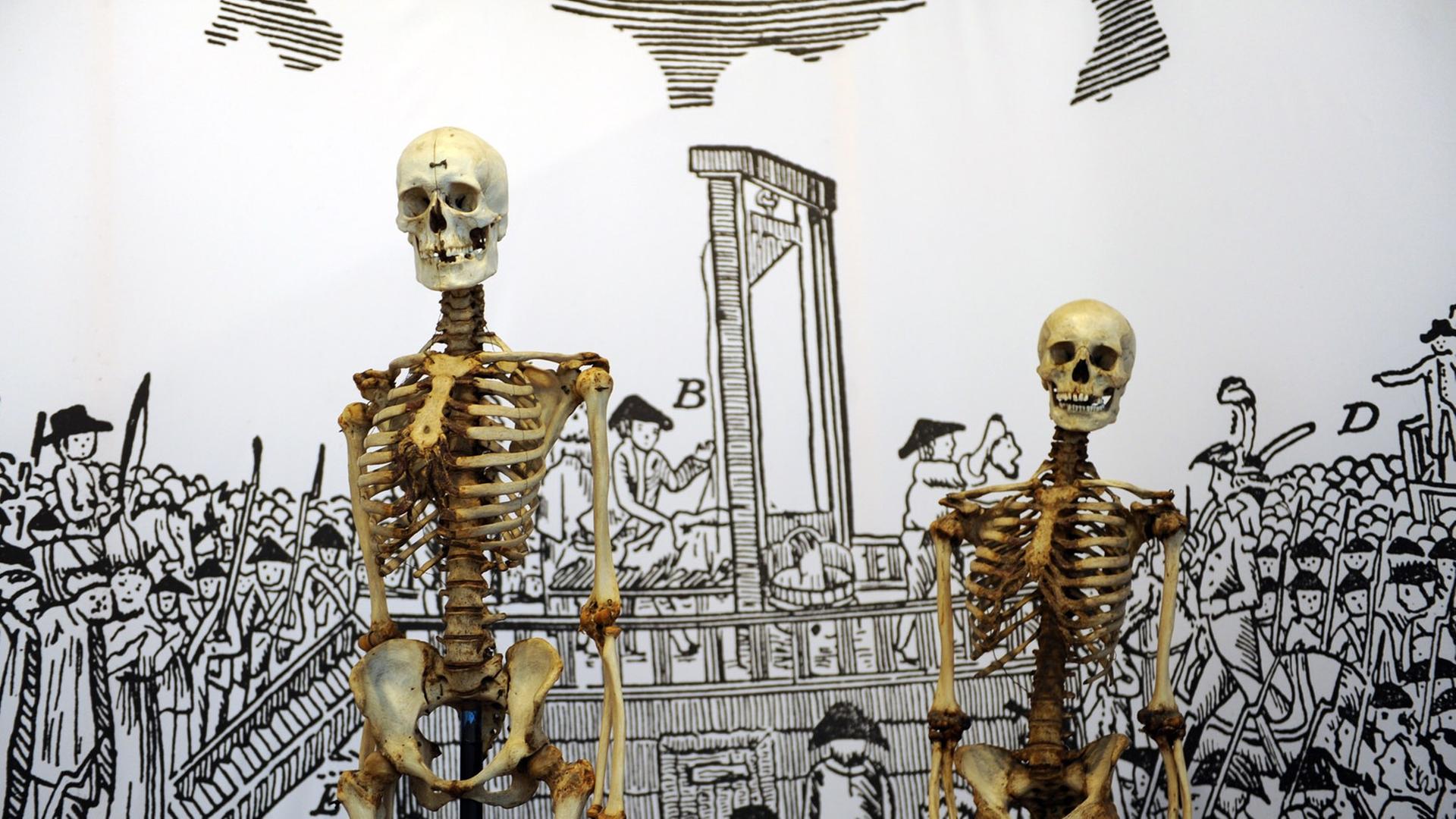 Zwei Skelette stehen am Mittwoch (25.01.2012) im Kasseler Museum vor einer Leinwand mit Hinrichtungsszene. Das linke Skelett ist vermutlich das des Räubers "Schinderhannes", das rechte das seines Kumpanen, dem "Schwarzen Jonas". Sie sind im Rahmen der Ausstellung "Galgen, Rad und Scheiterhaufen - Einblicke in Orte des Grauens zu sehen". Zwei Skelette stehen am Mittwoch (25.01.2012) im Kasseler Museum vor einer Leinwand mit Hinrichtungsszene. Das linke Skelett ist vermutlich das des Räubers "Schinderhannes", das rechte das seines Kumpanen, dem "Schwarzen Jonas". Sie sind im Rahmen der Ausstellung "Galgen, Rad und Scheiterhaufen - Einblicke in Orte des Grauens zu sehen".