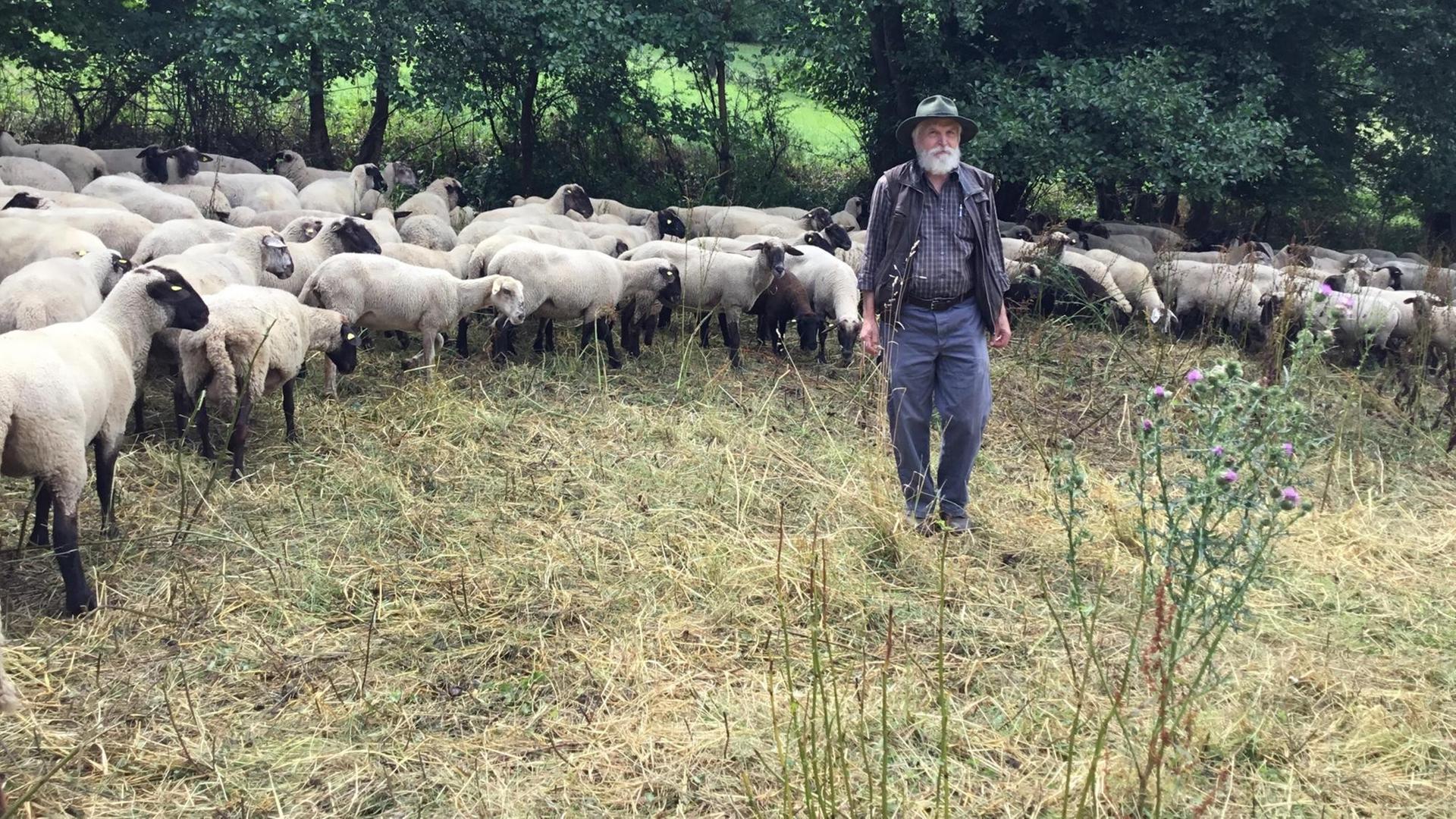 Der Eifel-Schäfer und Vorsitzende des Bundesverbands Berufsschäfer Günther Czerkus mit seiner Herde Der Eifel-Schäfer und Vorsitzende des Bundesverbands Berufsschäfer Günther Czerkus mit seiner Herde