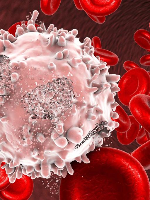 Illustration einer Blutkrebs-Zelle