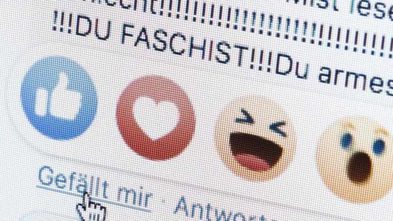 Neben dem "Gefällt mir"-Button von Facebook sind die Worte "Du Faschist" zu sehen.