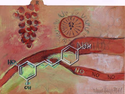 Resveratrol Resveratrol
