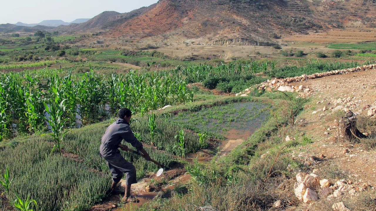Ein Landwirt in Eritrea
