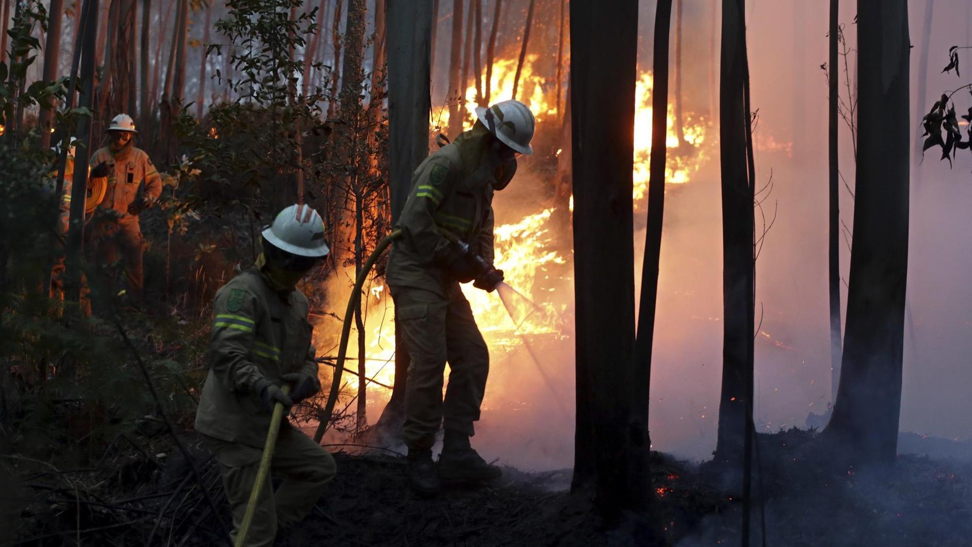 Feuerwehrleute der Republikanische Nationalgarde versuchen am 18.06.2017 in Avelar (Portugal) einen Waldbrand zu löschen. Bei einem verheerenden Waldbrand im Zentrum von Portugal ist die Zahl der Todesopfer auf 39 gestiegen. (zu dpa «Waldbrand in Portugal tötet mindestens 39 Menschen» vom 18.06.2017) Foto: Armando Franca/AP/dpa +++(c) dpa - Bildfunk+++ Feuerwehrleute der Republikanische Nationalgarde versuchen am 18.06.2017 in Avelar (Portugal) einen Waldbrand zu löschen. Bei einem verheerenden Waldbrand im Zentrum von Portugal ist die Zahl der Todesopfer auf 39 gestiegen. (zu dpa «Waldbrand in Portugal tötet mindestens 39 Menschen» vom 18.06.2017) Foto: Armando Franca/AP/dpa +++(c) dpa - Bildfunk+++