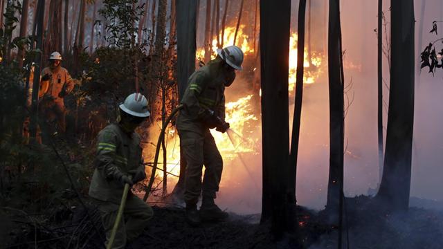 Feuerwehrleute der Republikanische Nationalgarde versuchen am 18.06.2017 in Avelar (Portugal) einen Waldbrand zu löschen. Bei einem verheerenden Waldbrand im Zentrum von Portugal ist die Zahl der Todesopfer auf 39 gestiegen. (zu dpa «Waldbrand in Portugal tötet mindestens 39 Menschen» vom 18.06.2017) Foto: Armando Franca/AP/dpa +++(c) dpa - Bildfunk+++
