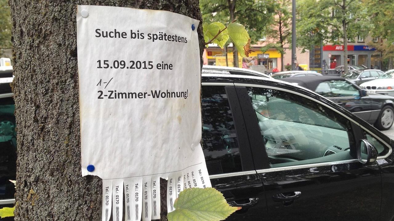 Wohnungsgesuch an einem Baum in München. Wohnungsgesuch an einem Baum in München.