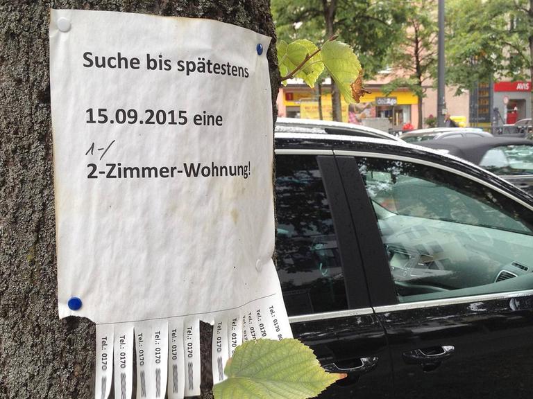Wohnungsgesuch an einem Baum in München.