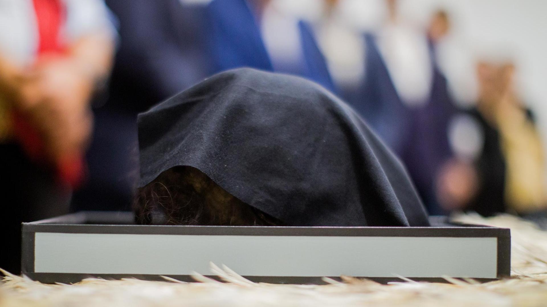26.06.2018, Nordrhein-Westfalen, Köln: Ein abgedeckter tätowierter, mumifizierter Schädel eines Maori aus Neuseeland, liegt bei einer Übergabezeremonie im Rautenstrauch-Joest-Museum.