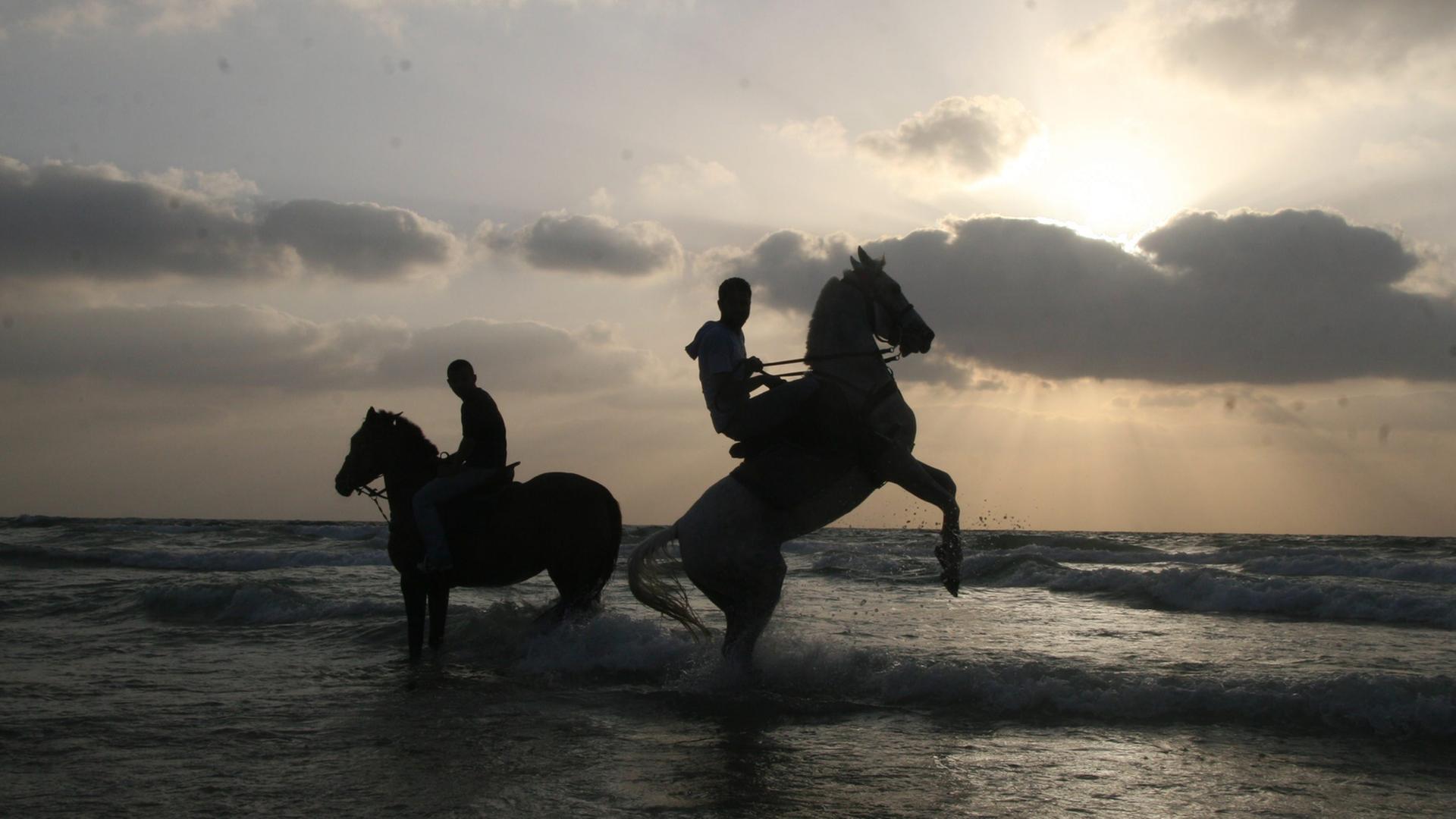Palästinenser spielen mit ihren Pferden am Strand in Gaza, aufgenommen 2008. Palästinenser spielen mit ihren Pferden am Strand in Gaza, aufgenommen 2008.