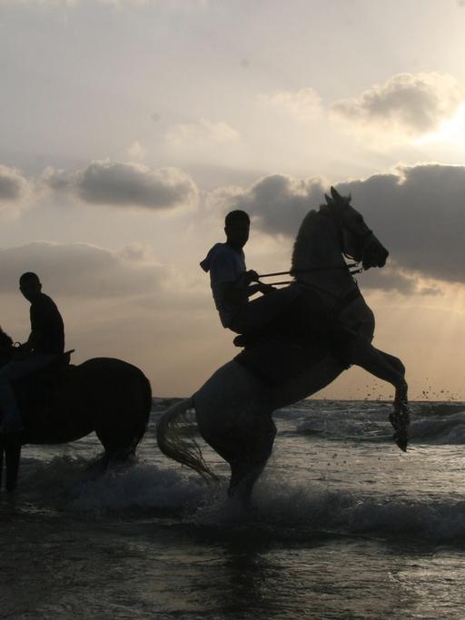 Palästinenser spielen mit ihren Pferden am Strand in Gaza, aufgenommen 2008.