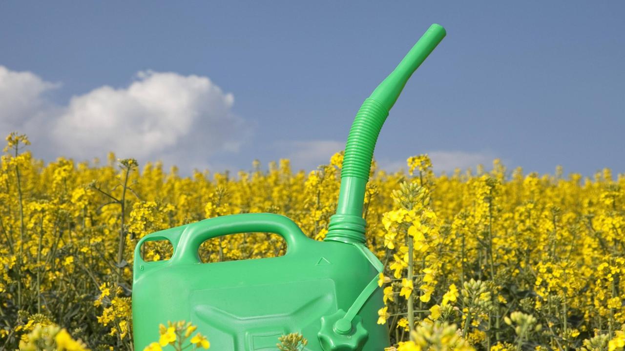 Ein Kanister mit Biokraftstoff steht in einem Feld in Bayern. Ein Kanister mit Biokraftstoff steht in einem Feld in Bayern.