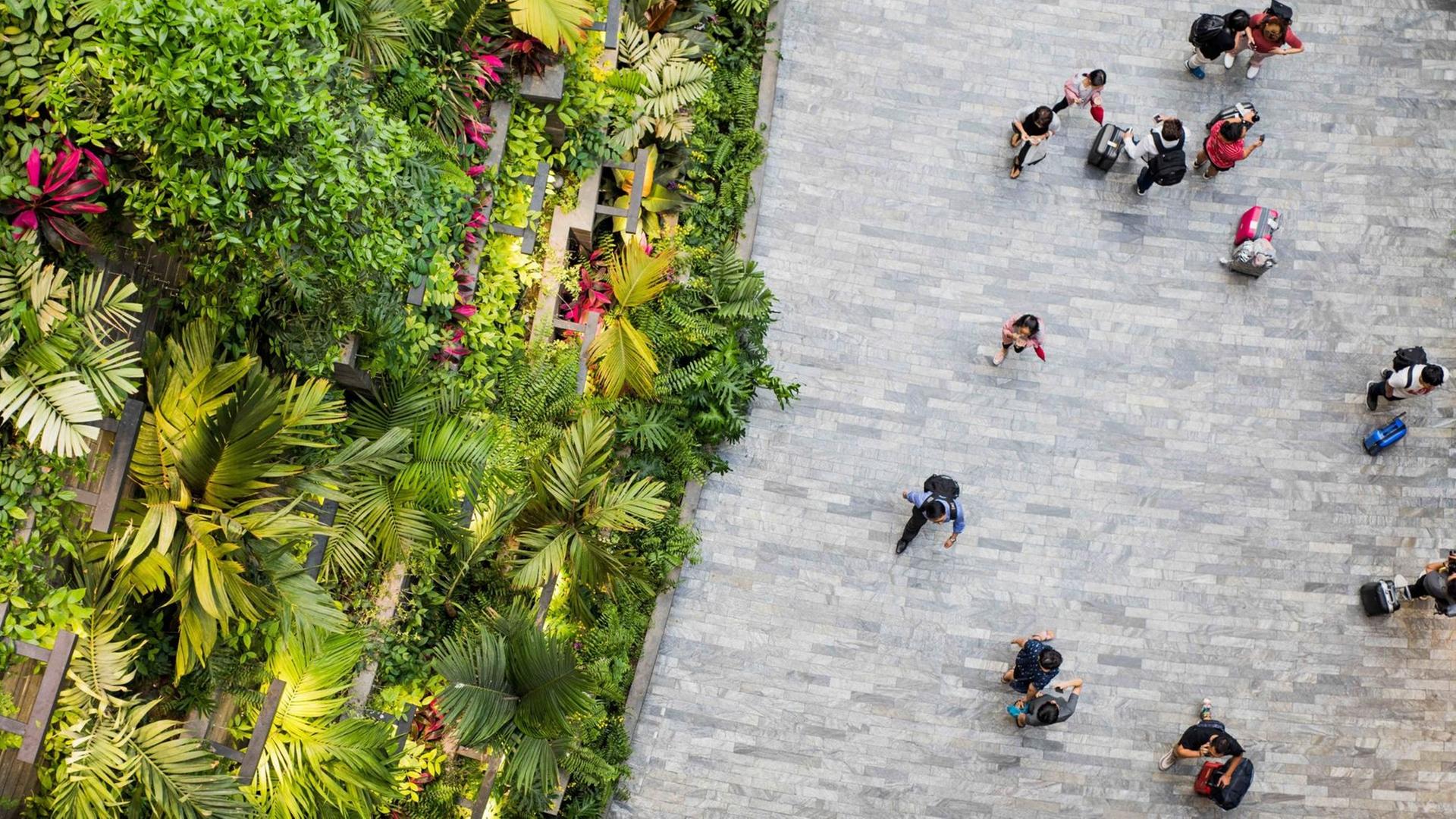 Draufsicht auf den Flughafen Singapur - Menschen gehen auf einem Asphaltweg, daneben türmen sich kaskadenhaft Pflanzen auf. Draufsicht auf den Flughafen Singapur - Menschen gehen auf einem Asphaltweg, daneben türmen sich kaskadenhaft Pflanzen auf.