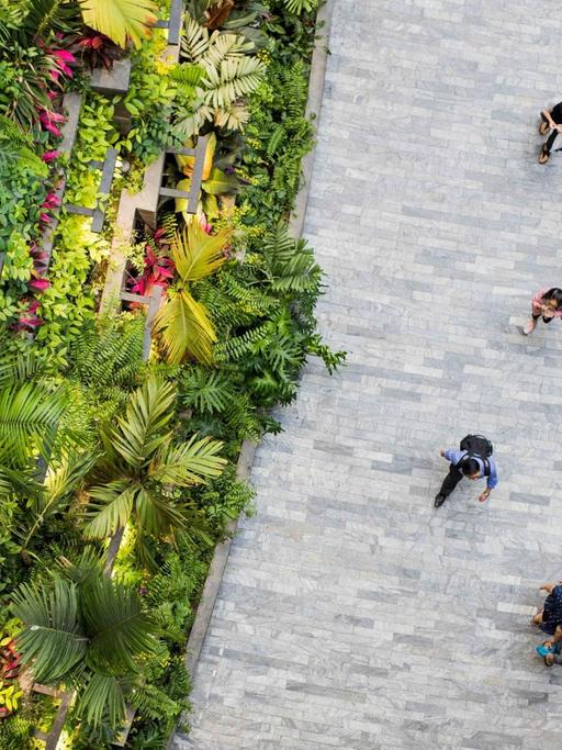 Draufsicht auf den Flughafen Singapur - Menschen gehen auf einem Asphaltweg, daneben türmen sich kaskadenhaft Pflanzen auf.
