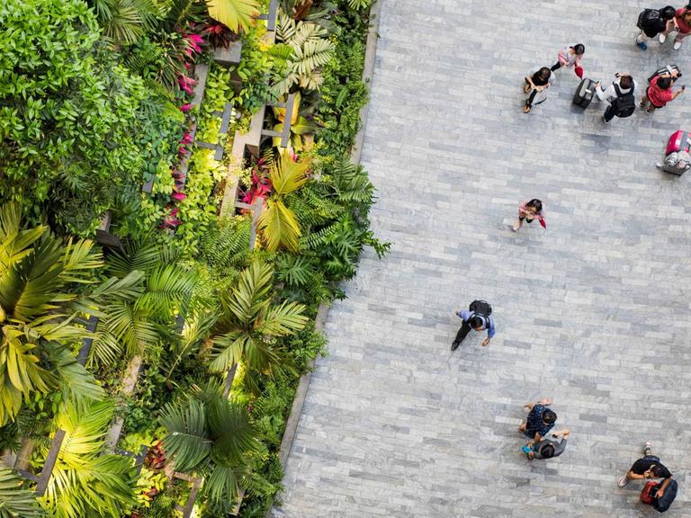 Draufsicht auf den Flughafen Singapur - Menschen gehen auf einem Asphaltweg, daneben türmen sich kaskadenhaft Pflanzen auf.