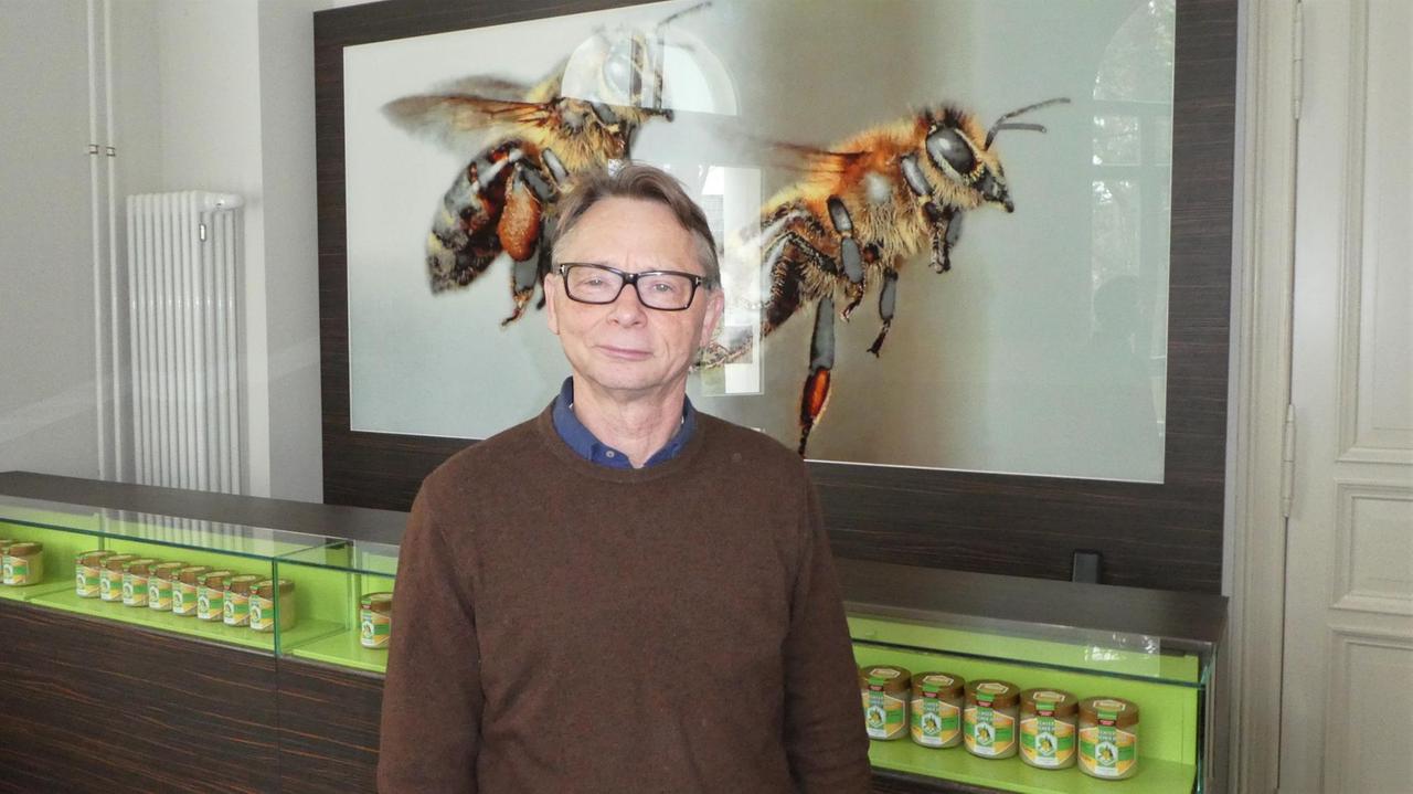 Mann steht vor zwei großen, gemalten Bienen Mann steht vor zwei großen, gemalten Bienen