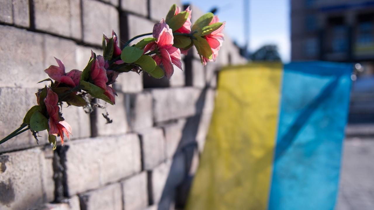Kiew, Ukraine: Eine Blume und eine ukrainische Flagge auf dem Maidan in einer Barrikade