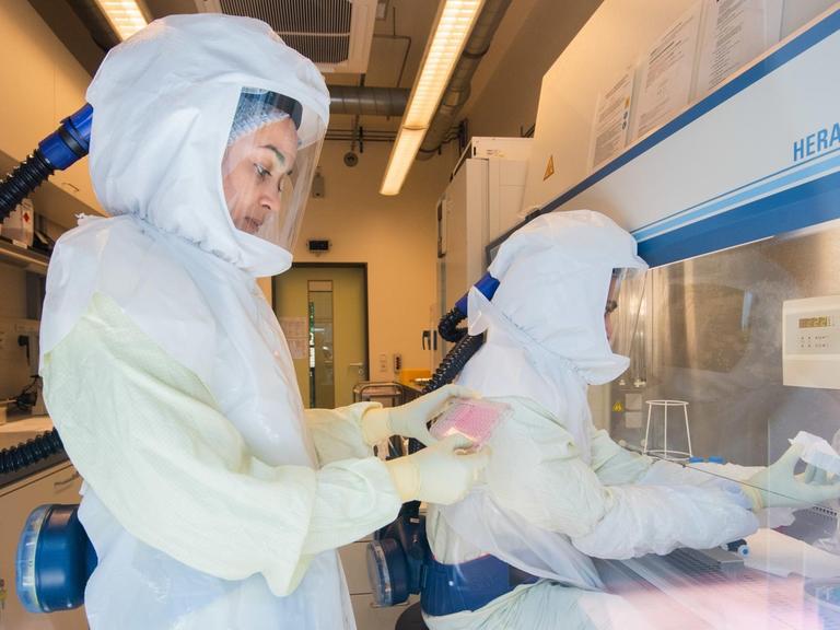 Eine Wissenschaftlerin hält eine Multiwellplatte mit vom Coronavirus infizierten Zellkulturen in einem Labor der biologischen Sicherheitsstufe 3 (Hochsicherheitslabor) im Helmholtz-Zentrum für Infektionsforschung HZI.