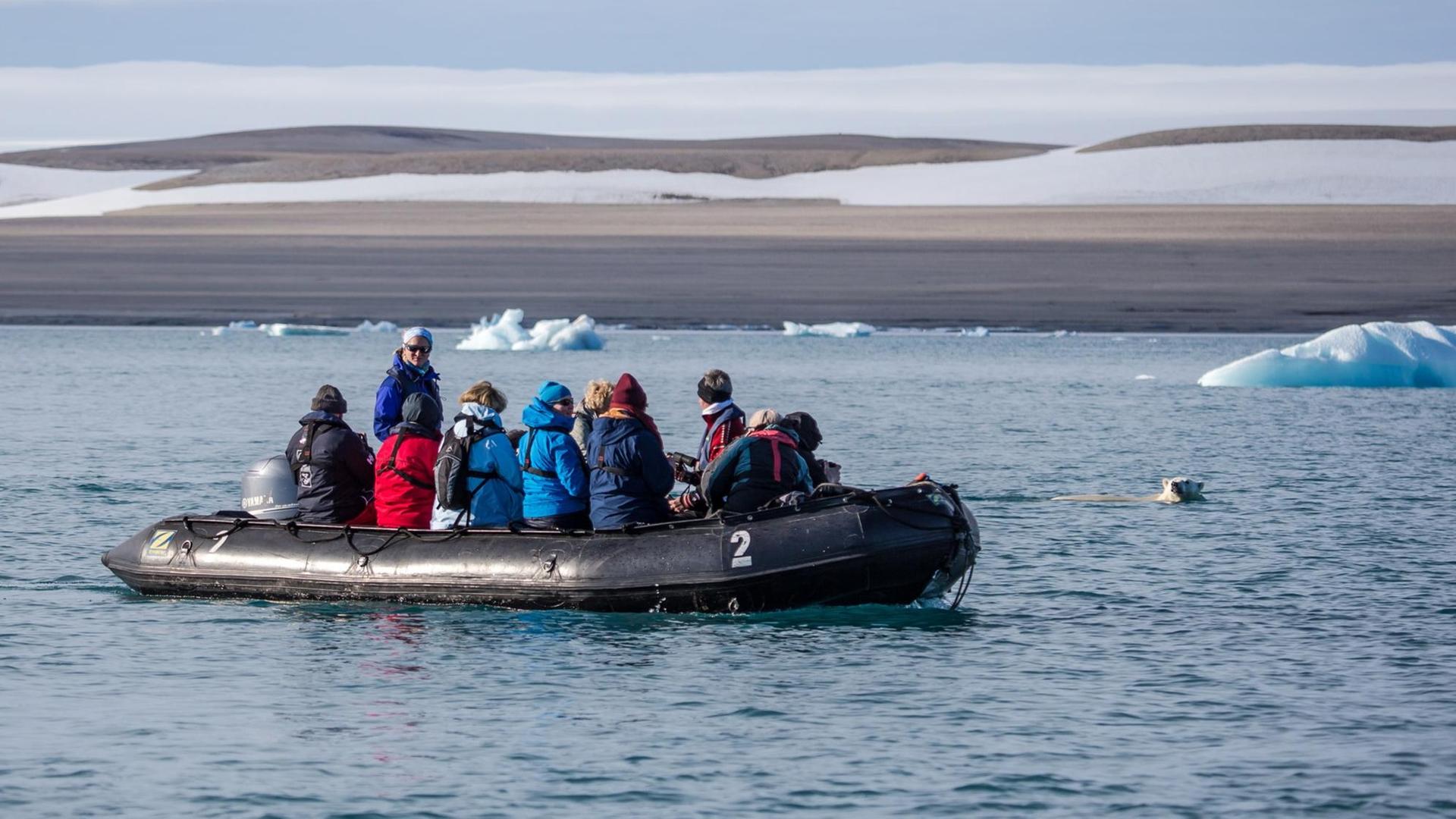 Touristen beobachten in der Arktis einen Eisbären. Touristen beobachten in der Arktis einen Eisbären.