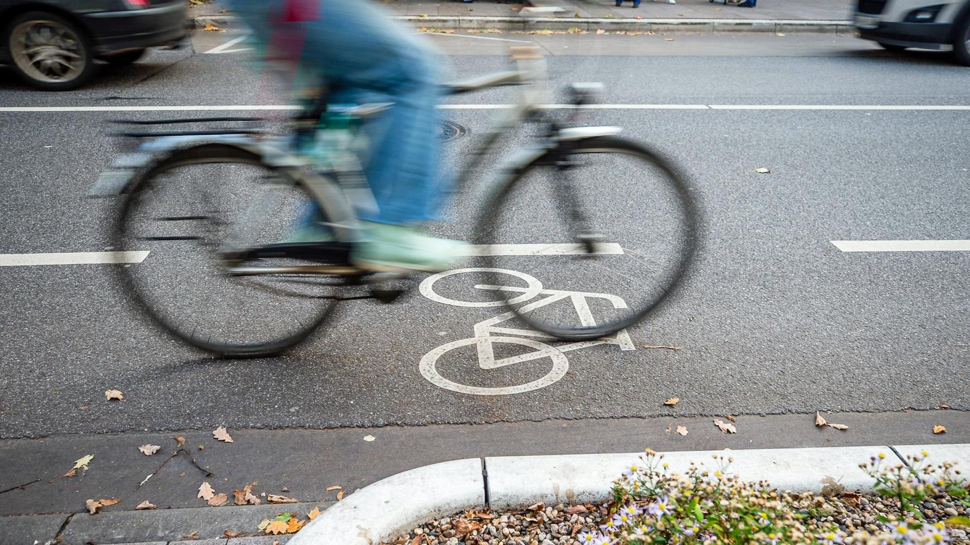 Ein Radfahrer fährt auf einem markierten Fahrradstreifen in Hamburg.