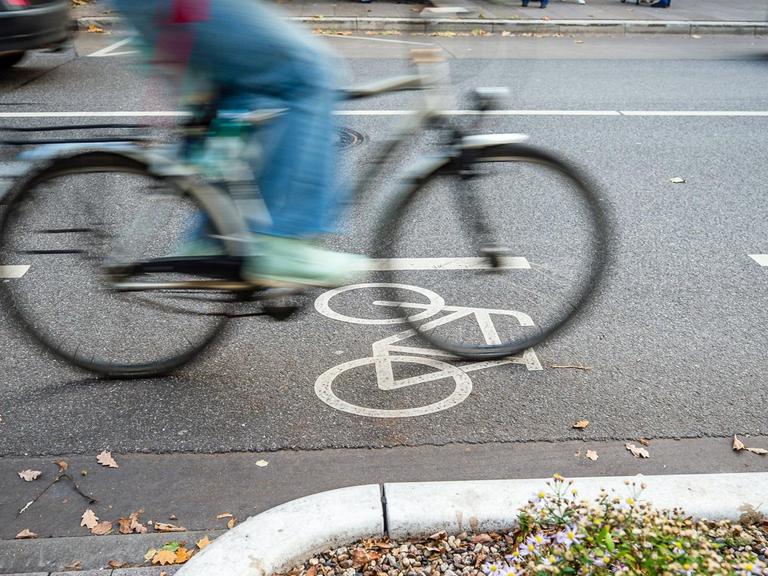 Ein Radfahrer fährt auf einem markierten Fahrradstreifen in Hamburg.