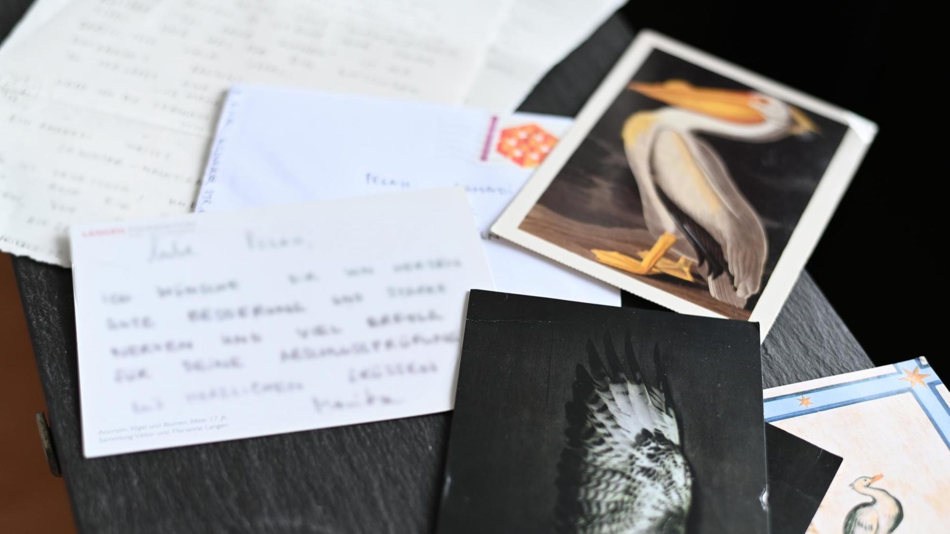 Blick auf einen Tisch mit Postkarten von einem Mäusebusssard und einem Pelikan. Blick auf einen Tisch mit Postkarten von einem Mäusebusssard und einem Pelikan.