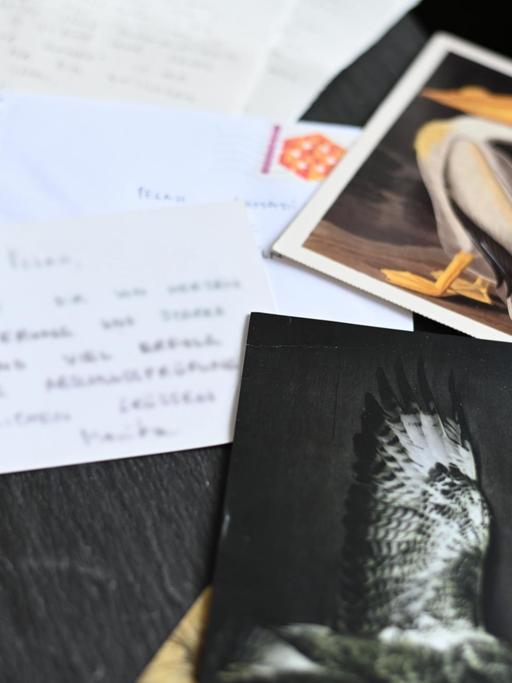 Blick auf einen Tisch mit Postkarten von einem Mäusebusssard und einem Pelikan.