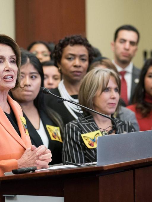 Die Sprecherin der Demokraten im US-Repräsentantenhaus, Nancy Pelosi, spricht auf einer Konferenz mit Demokraten im Repräsentantenhaus und einer Gruppe von "Dreamern" mit DACA-Status.