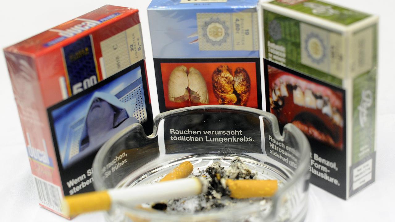 Leider liegt für dieses Bild keine Bildbeschreibung vor Leider liegt für dieses Bild keine Bildbeschreibung vor