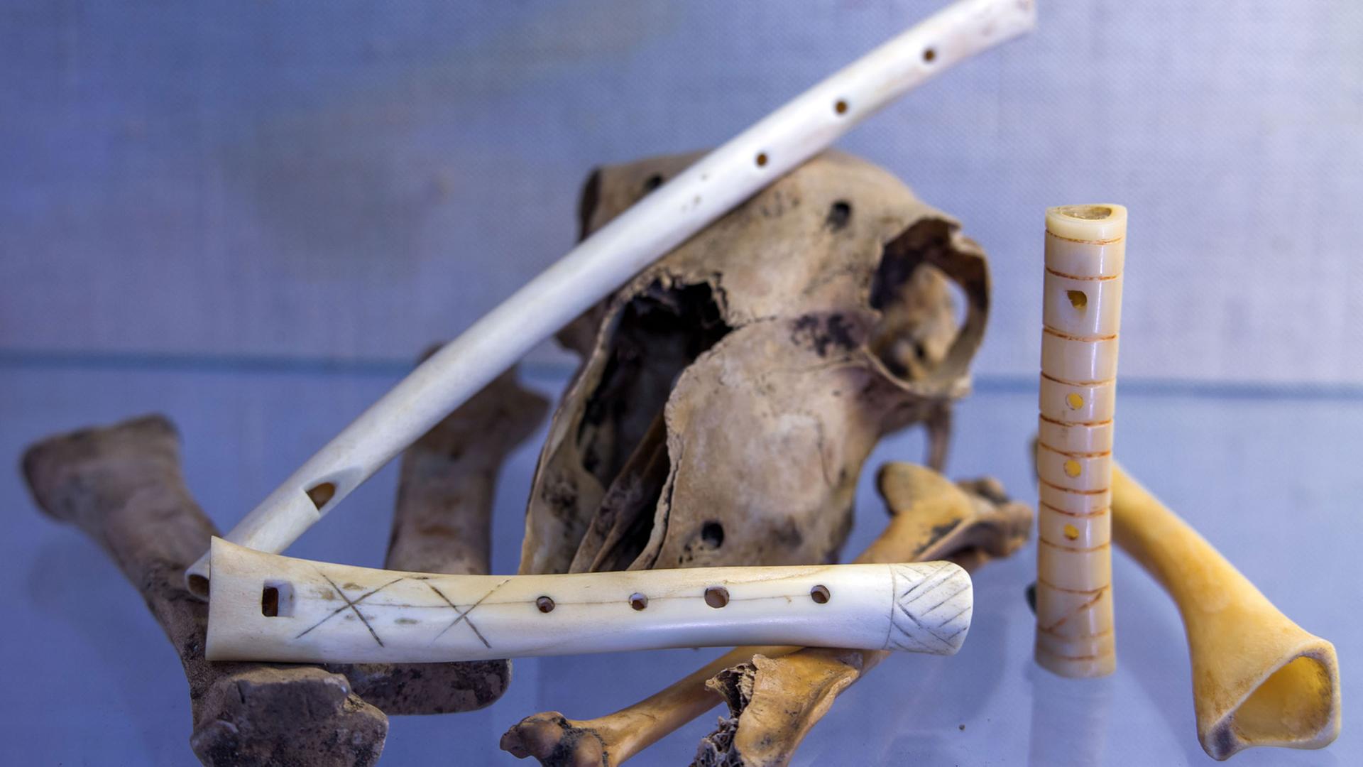 Nachgebaute Knochenflöten, aufgenommen am 02.07.2015 in der Werkstatt von Instrumentenbauer Ralf Gehler in Schwerin (Mecklenburg-Vorpommern) Nachgebaute Knochenflöten, aufgenommen am 02.07.2015 in der Werkstatt von Instrumentenbauer Ralf Gehler in Schwerin (Mecklenburg-Vorpommern)