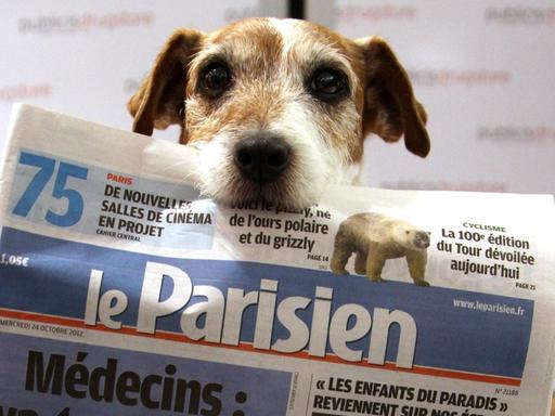 Ein Jack-Russell-Terrier hält eine Ausgabe der französischen Tageszeitung "Le Parisien" im Maul