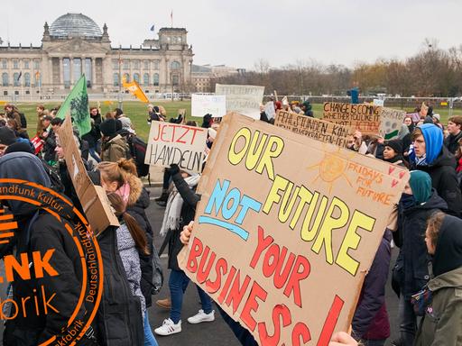 Demonstration "Fridays for Future" im Januar in Berlin
