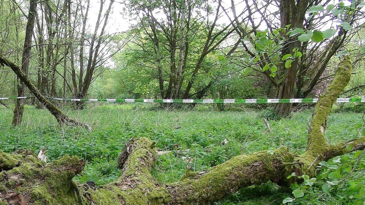 Ein Waldstück mit grünweissem Absperrband im Hintergrund.