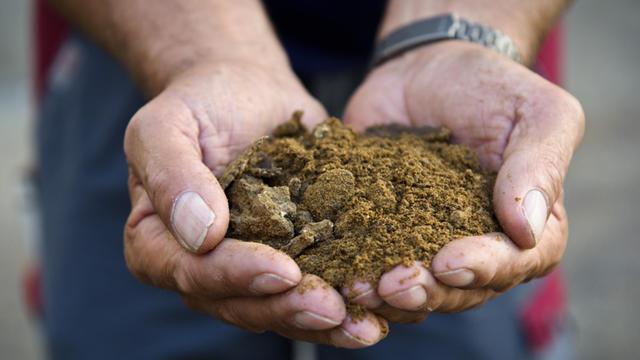 Zwei Hände halten Tiermehl