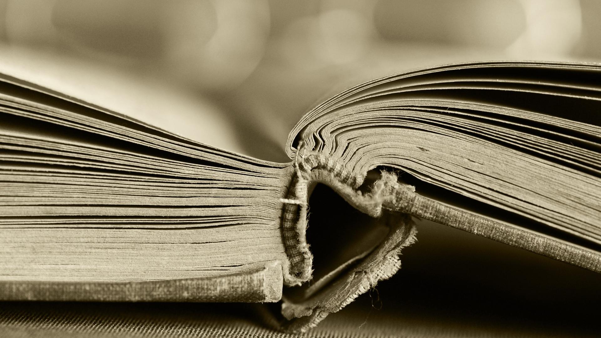 Ein altes Buch Ein altes Buch